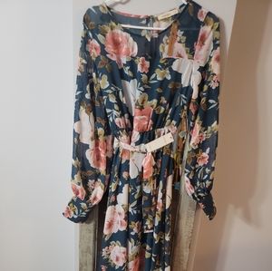 Long sleeve long dress